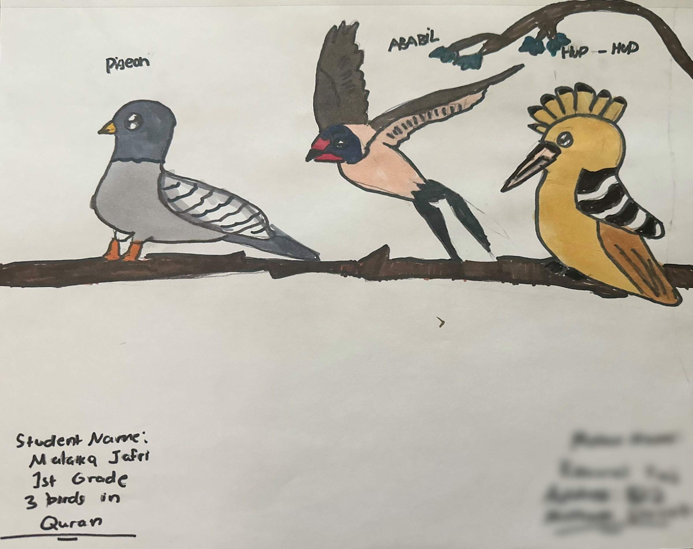 1st Prize, Malaika Jafri, 1st grade, MA